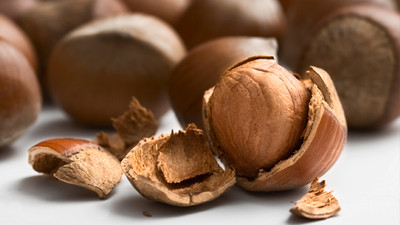 Fındık fiyatlarında rekor üstüne rekor