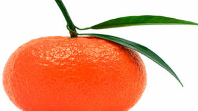 Dikkat! Mandalinada tehlikeli haşarat var