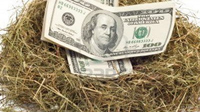 Bir kuşa 1 milyar lira yatırdık!