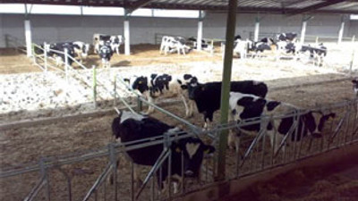 Çiftlik kurana 125 bin Euro hibe!