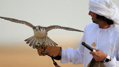 Kanatlı skandal: 2 Suudi Prens gözaltında!