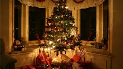 İsteyene bedava yılbaşı çamı!