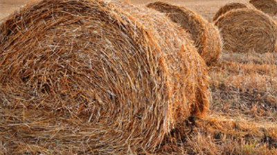 10 bin ton saman ithal edilecek!