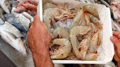 Dünya bulamıyor biz balık yemi yaptık