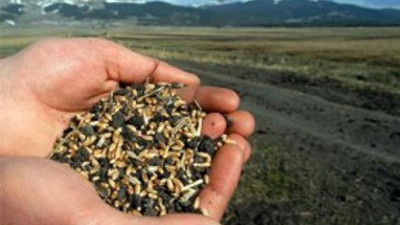 İsrail'i bitiren istatistik!