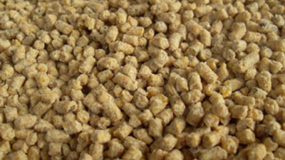 Hayvan yetiştiricilerine yem uyarısı!