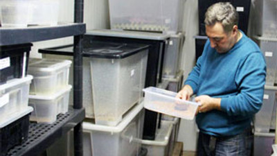 Antalya'ya hamam böceği fabrikası kurdu!