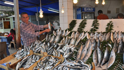 Balık fiyatları ne kadar oldu?