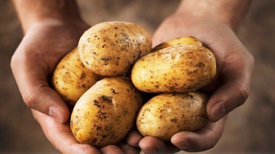 Düşük rekolte beklentisi patateste fiyatı artırdı