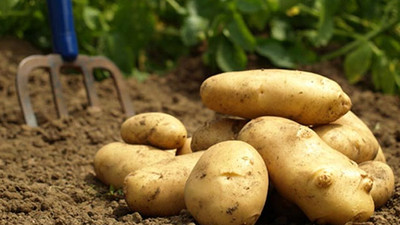 Patates fırsatçısına çifte ceza