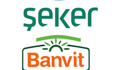 Piliçlerin dev flörtü!