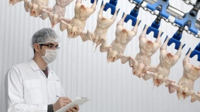 Piliç'in Şeker'i neden eridi?