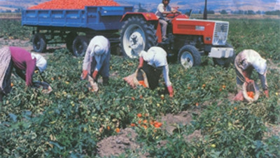 Çiftçilere ek ödeme yarın yapılacak!