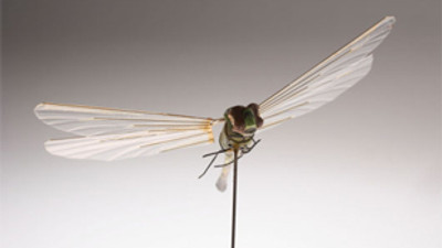 Casus cihazlara dikkat!