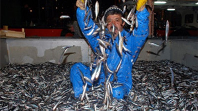 Ucuz balık dönemi bitti! Balık artık el yakacak!