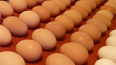 'Bakkal amca' AB'ye uydu!