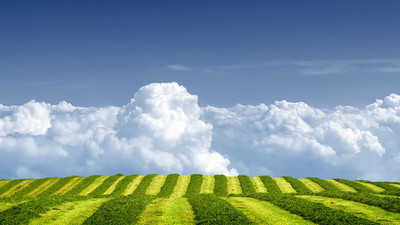 Tarıma dayalı yatırım projelerine ek süre verildi