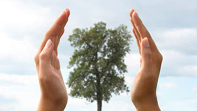 22 bin 500 dekarla hatıra ormanı rekoru kırıldı