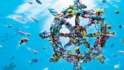 DenizBank'tan kadın çiftçilere kredi