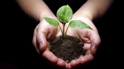 TZOB: Toprak analizi yaptırma süresi 30 Ekim'e uzatıldı