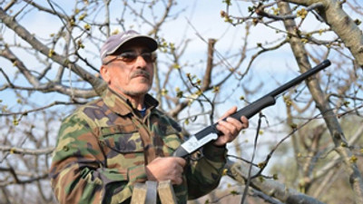 Silahlı kiraz nöbeti!