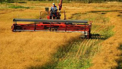 Tarım sektörü 2012'de büyüdü