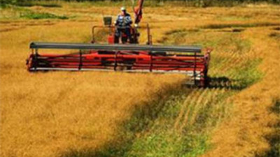 Rum Kesimi'nin kurtuluşu tarımda