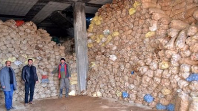 Tonlarca patates terör yüzünden ellerinde kaldı