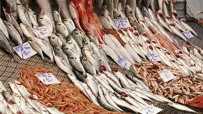 Ucuz balık için son günler