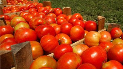 Sebze meyve fiyatları ucuzladı!