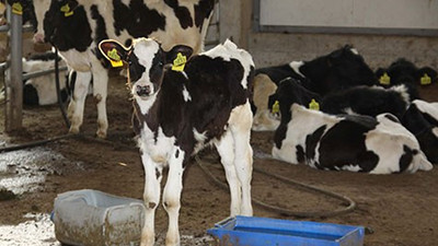 Çiftçiye 1 milyar TL destek geliyor