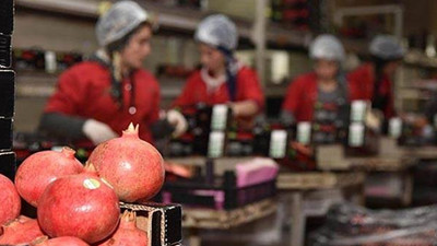 Rusya aralıkta stok yaptı, meyve ihracatı arttı