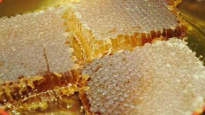 Cumhuriyet tarihinin rekoru kırıldı