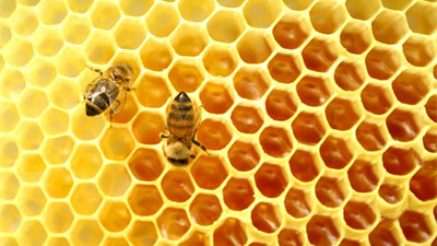 Takviye edici gıdalara yeni düzenleme