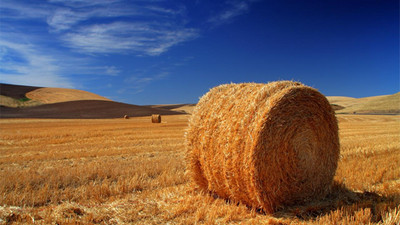 Çiftçilere özel yüzde 50 avantajlı kredi