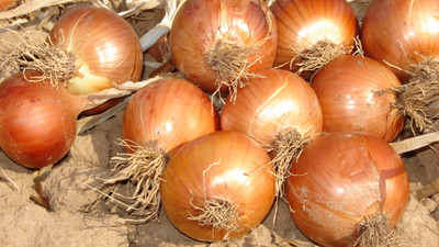 Şubatta en fazla kuru soğanın fiyatı arttı
