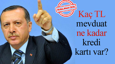 Bankacılığın üçte birinde Gezi depremi!