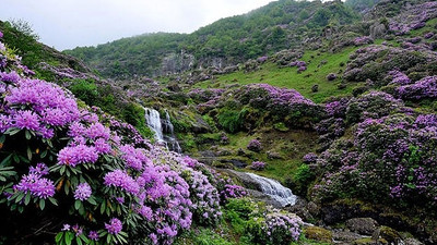 Trabzon'da boş oda yok!