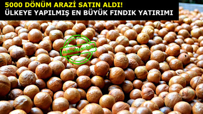 Portekiz'e fındık yatırımı yapan Türk devi kim?