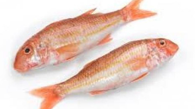 Barbun balığı 100 lirayı geçti!