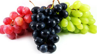 Üzümde hastalık şoku!