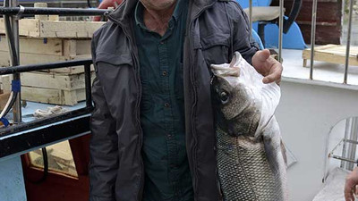 Levrek balıkçıların yüzünü güldürdü!
