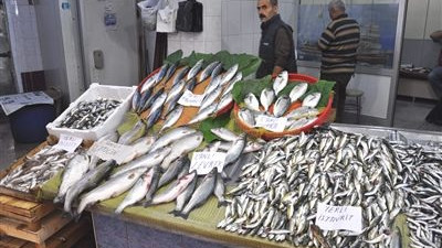 Balıkçılar sezonu açıyor