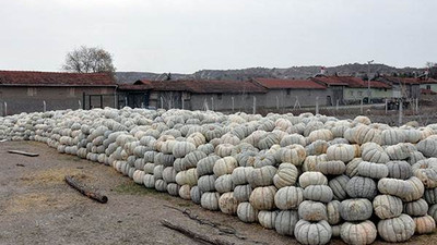 Fiyatı yüzde 50 düştü ama kimse almıyor