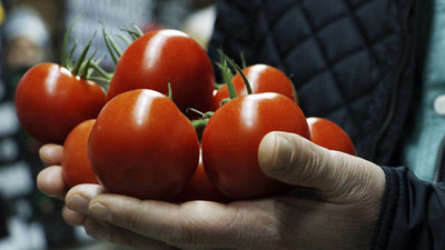 Soğuklar domatesin fiyatını yüzde 50 arttırdı