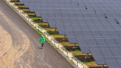 Mersin'e dünyanın en büyük 5'inci güneş enerjisi santrali geliyor