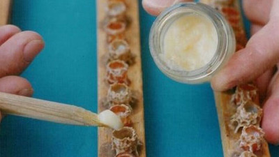 Servet değerinde mucize süt!