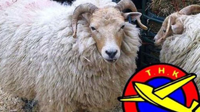 THK kurban derisi toplayamayacak