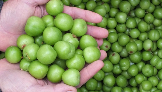 300 liradan 10 liraya düştü