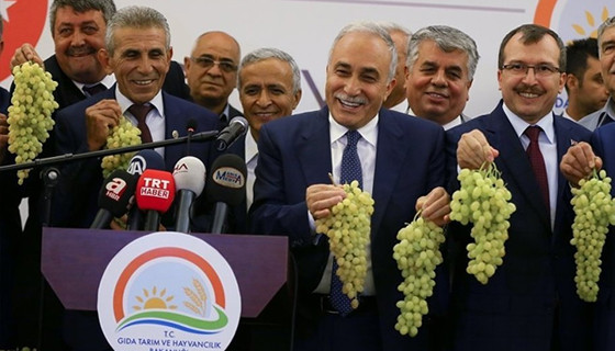 Bakan Fakıbaba: Ayran kadar üzüm suyu da milli içeceğimiz